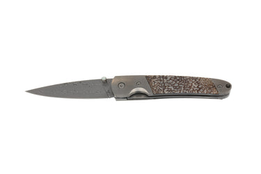 4" Damascus Liner Lock — Dinosaur Bone — Front