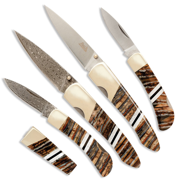 Woolly Mammoth Tooth Collection
