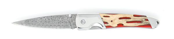 Natural Stabilized Cholla Cactus - Damascus 4" Liner Lock