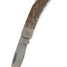 3" Damascus Lockback — Dinosaur Bone — Down