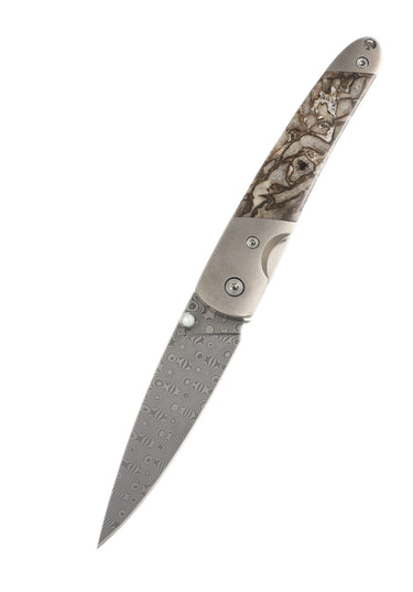4" Damascus Liner Lock — Dinosaur Bone — Open Down