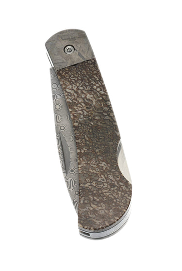 3" Damascus Lockback — Dinosaur Bone, Meteorite — Closed Back