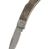 3" Damascus Lockback — Dinosaur Bone, Meteorite — Down