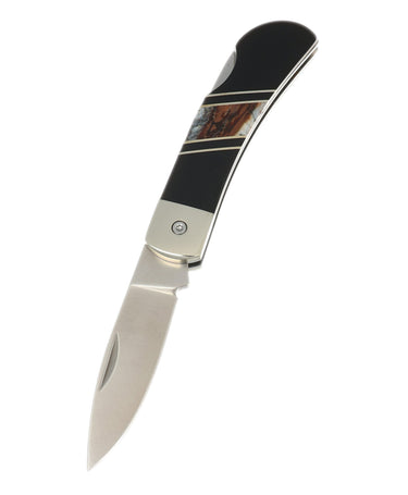 3" Lockback 440C Stainless Steel – Natural Fossilized Mammoth Tooth with Jet — open, blade down