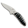 Fossilized Mammoth Tooth Collection - Kershaw Chive