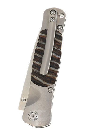 Tesoro VG-10 Button Lock – Natural Fossilized Mammoth Tooth — back