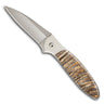 Woolly Mammoth Tooth Collection - Kershaw Leek